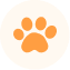 Button Icon